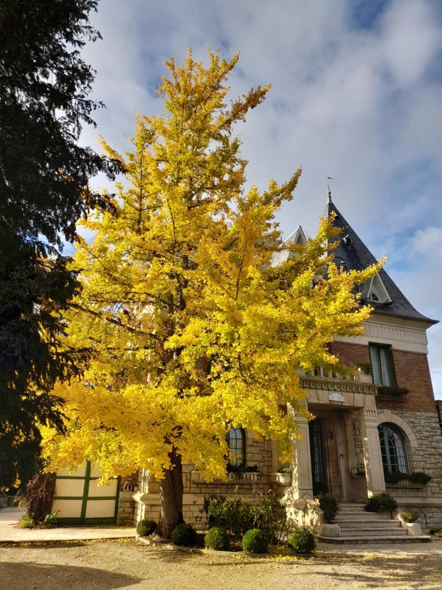 Villa Les Iris Saint-Félix Kültér fotó