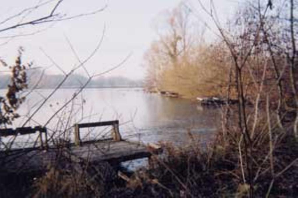Villa Les Iris Saint-Félix Kültér fotó